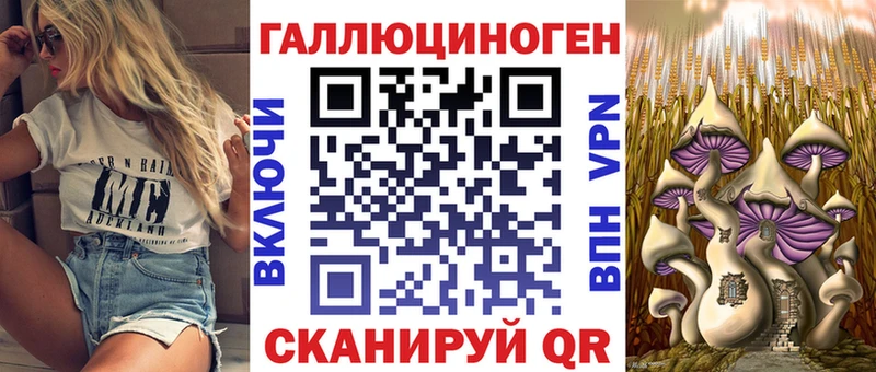 как найти   Великий Новгород  Псилоцибиновые грибы Psilocybine cubensis 
